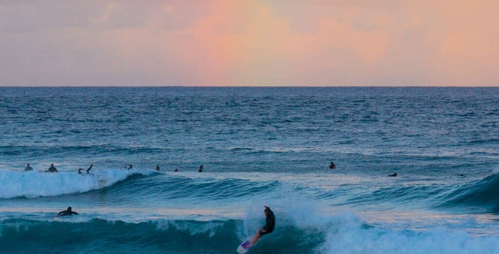 Winter waves in Byron Bay, Elements of Byron