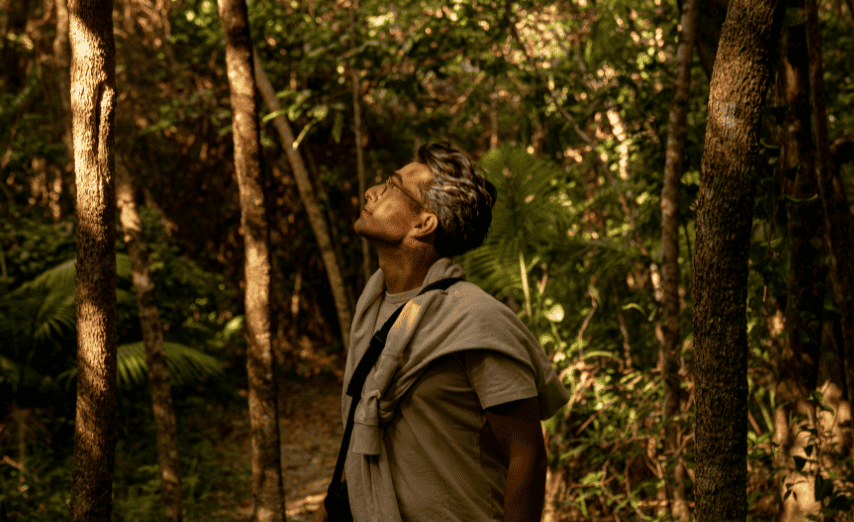 Man on walk in the rainforest at Elements of Byron