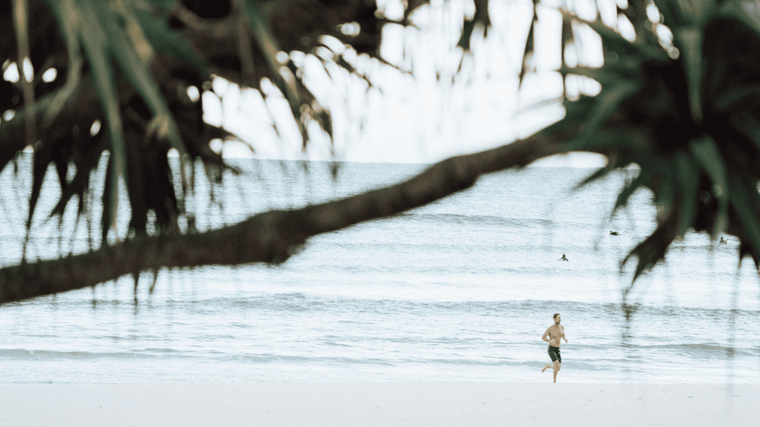 Elements of Byron - Byron Bay NSW