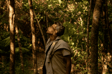 Man on walk in the rainforest at Elements of Byron