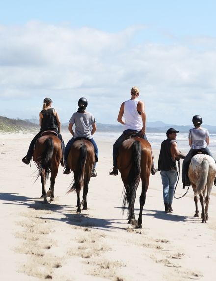 Zephyr Horses Elements of Byron