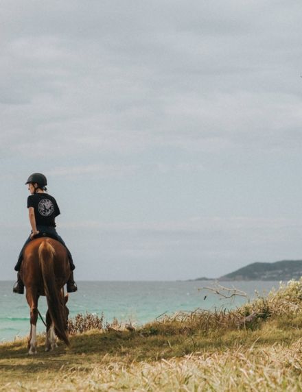 Zephyr Horses - beachfront horse riding