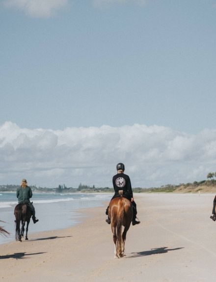 Zephyr Horses Elements of Byron