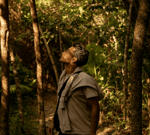 Man on walk in the rainforest at Elements of Byron