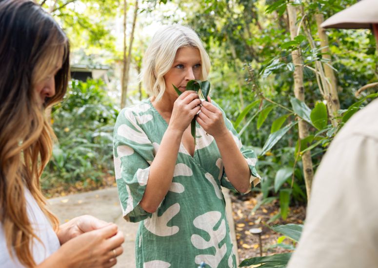 Native foraging tour in rainforest at Elements of Byron