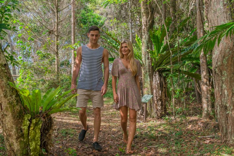 Exploring rainforest trails | Elements of Byron