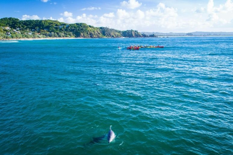 Go Sea Kayaking Byron Bay