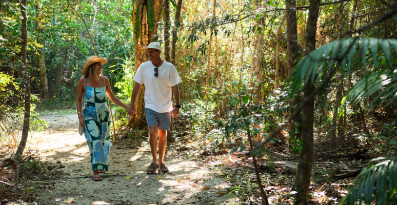 rainforest trail walk couple elements of byron